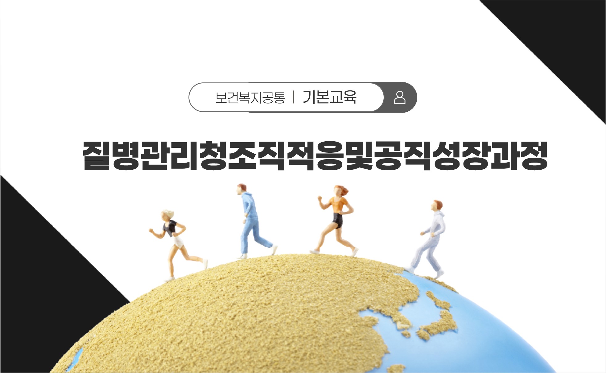 조직적응 과정 