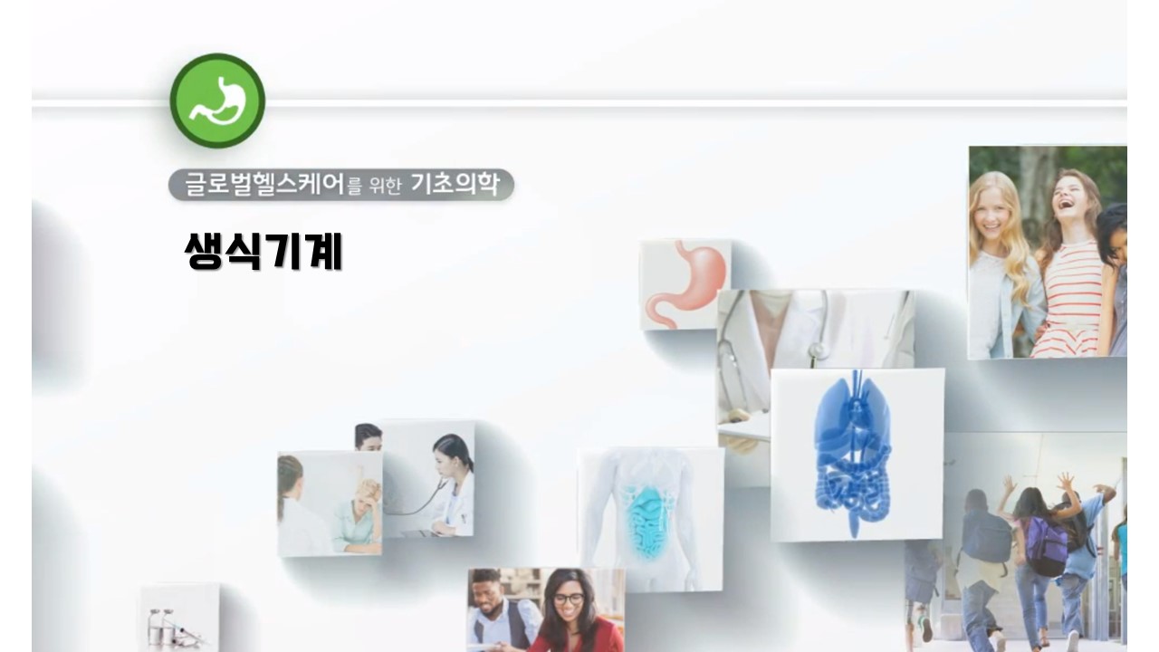 슬라이드5